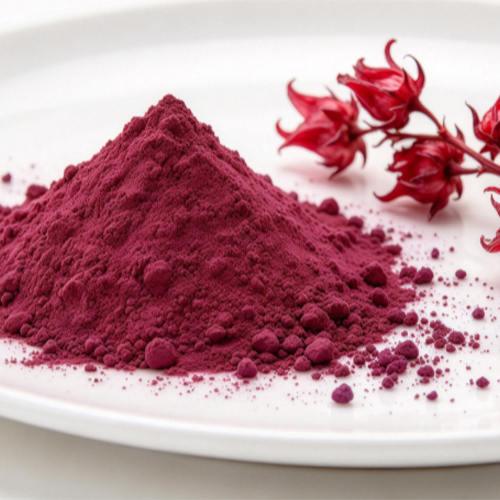rhodiola rosea extract powder close up natural light