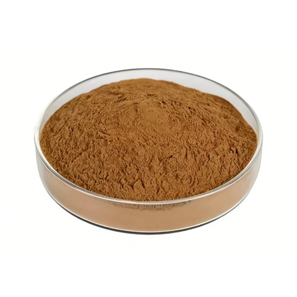 Raw reishi mushroom material shot