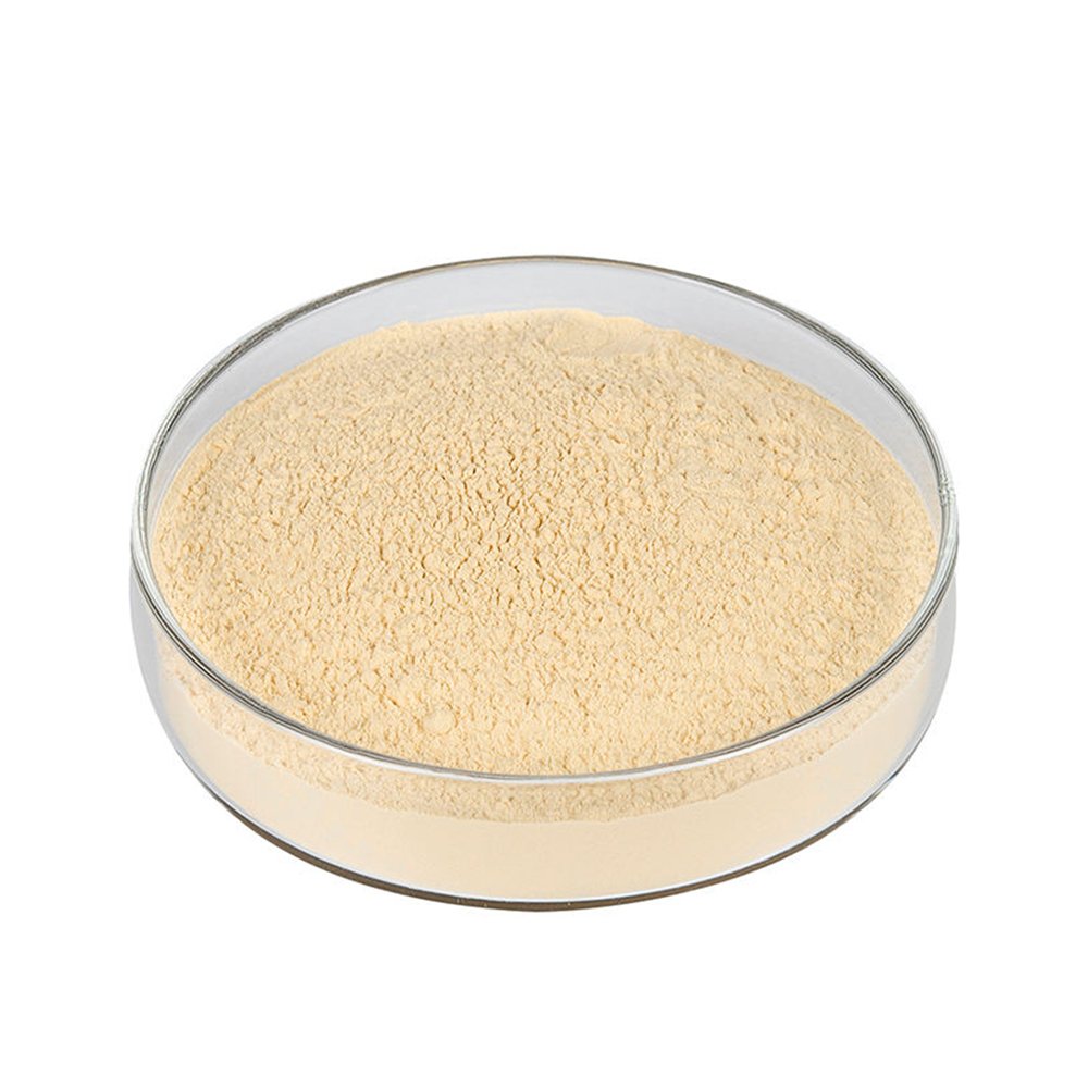 Off‑white Citrus Aurantium Extract Hesperidin fine powder detail