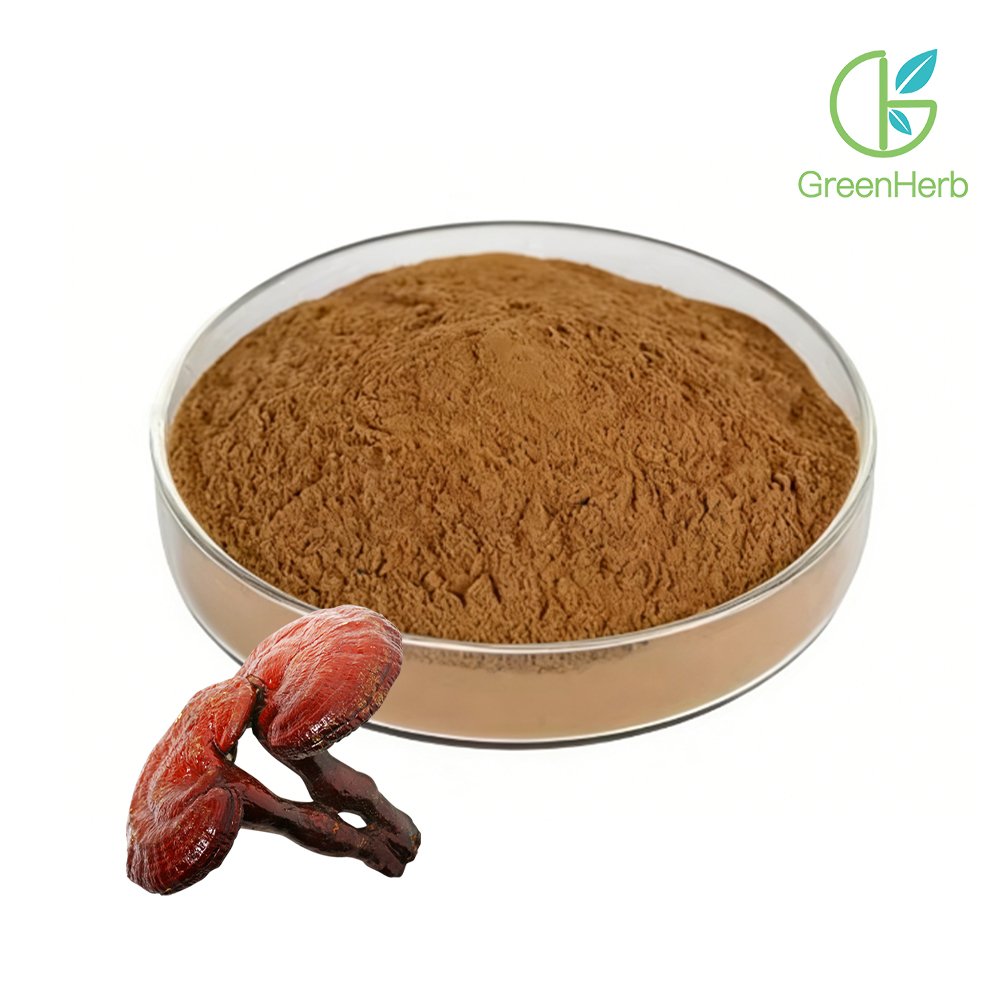 Reddish brown fine Reishi Mushroom Extract powder detail