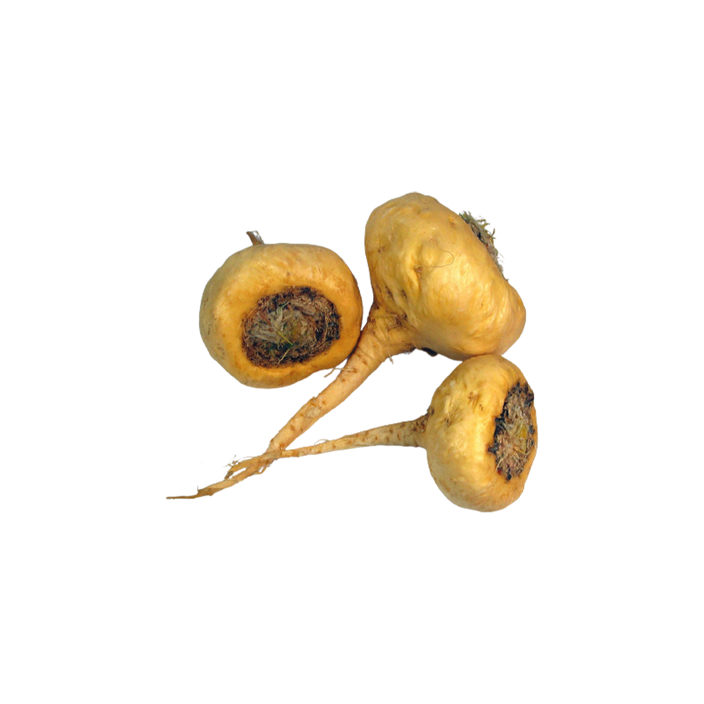 Maca Extract Powder